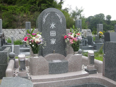62.jpg
