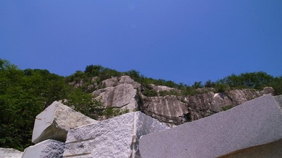 91.jpg