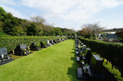 170428_4.jpg