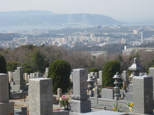 hiyodori.mokuren.JPG