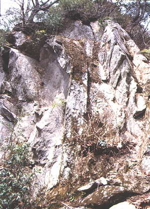 白川石・石切り場.jpg