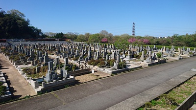 180621_1.JPG