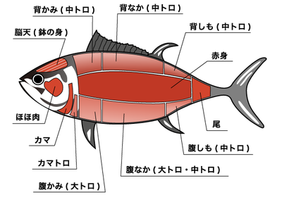 20180915_6.png