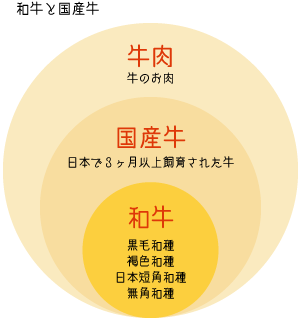 「国産牛」と「和牛」の違い